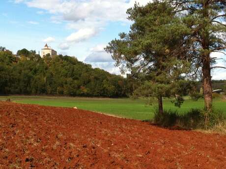 Le sentier des truffes Le sentier des truffes