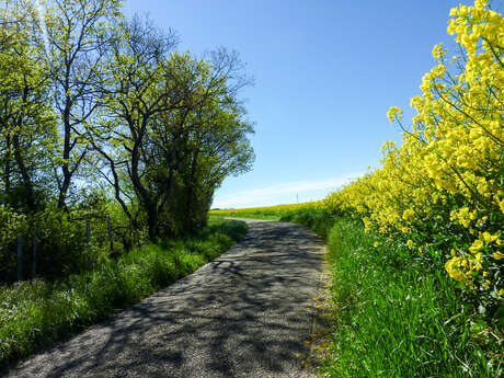 Sur la Route des Moulins Sur la Route des Moulins