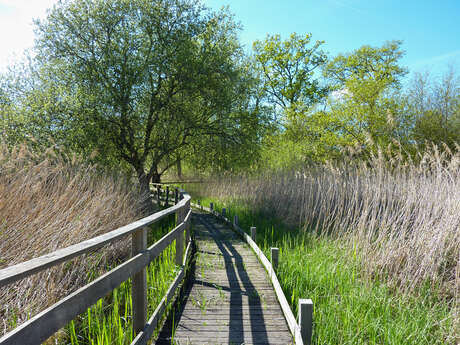 Le Marais de Bonnefont, Réserve Naturelle Régionale Le Marais de Bonnefont, Réserve Naturelle Régionale