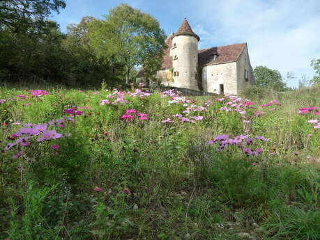 Château De Chadebec Château De Chadebec