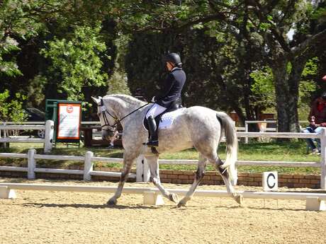 Concours Officiel de Dressage Concours Officiel de Dressage