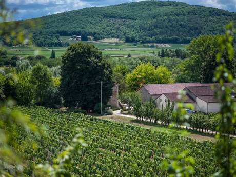 Château Fantou Château Fantou