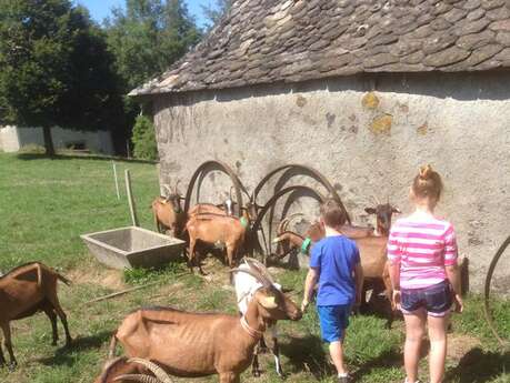 Agri Rando Agri Rando