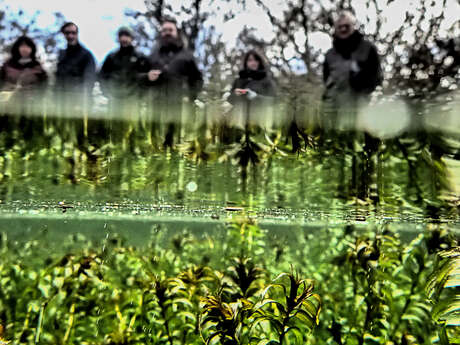 Mare s'Attaque dans les Causses du Quercy - Chantier Participatif Mare s'Attaque dans les Causses du Quercy - Chantier Participatif
