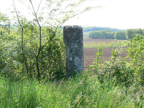 À la Découverte des Châteaux du Causse de Martel À la Découverte des Châteaux du Causse de Martel