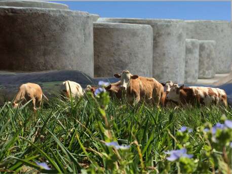 LA FERME DU TEIL LA FERME DU TEIL
