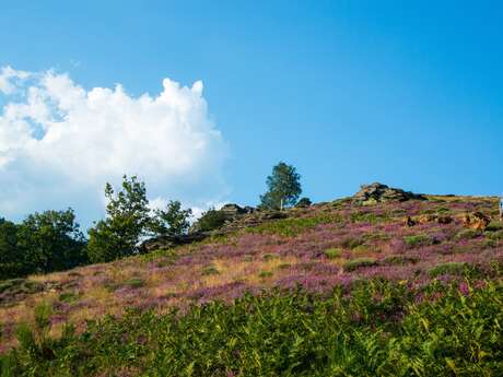 CAUSSES ET CEVENNES : PATRIMOINE DE L'UNESCO CAUSSES ET CEVENNES : PATRIMOINE DE L'UNESCO