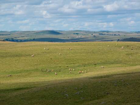 LE PLATEAU DE L'AUBRAC LE PLATEAU DE L'AUBRAC