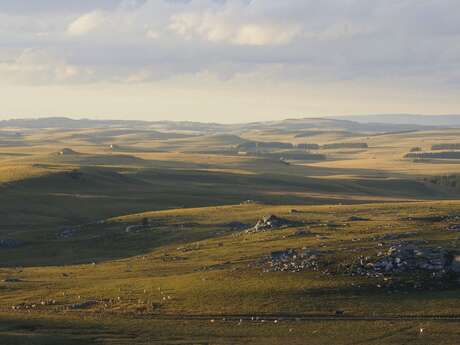 LE PLATEAU DE L'AUBRAC LE PLATEAU DE L'AUBRAC
