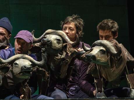 Saison Culturelle - Spectacle Buffles, fable urbaine Saison Culturelle - Spectacle Buffles, fable urbaine