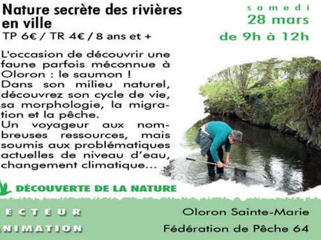 Nature secrète des rivières en ville - Sortie CPIE Nature secrète des rivières en ville - Sortie CPIE