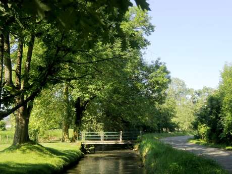 N° 85 Bois de Goès-Précilhon N° 85 Bois de Goès-Précilhon