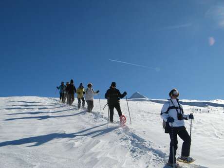 Sortie raquettes à neige en Pyrénées béarnaises Sortie raquettes à neige en Pyrénées béarnaises