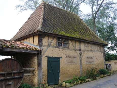 Pique-nique chez le vigneron Pique-nique chez le vigneron
