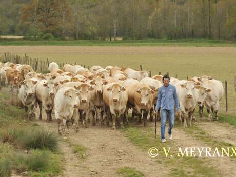 Ferme Gardelly Ferme Gardelly