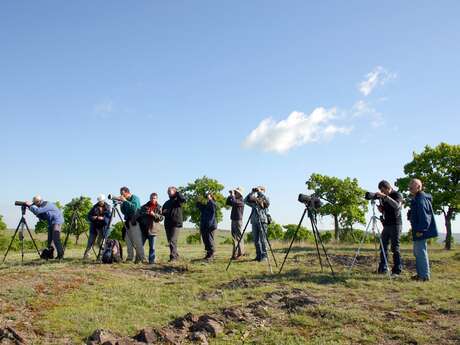 Ligue pour la Protection des Oiseaux Champagne-Ardenne Ligue pour la Protection des Oiseaux Champagne-Ardenne