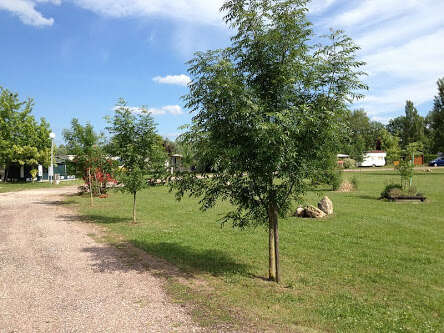 Camping "La Vallée de la Seine" Camping "La Vallée de la Seine"
