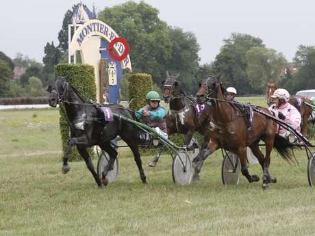 Courses hippiques (galop) Courses hippiques (galop)
