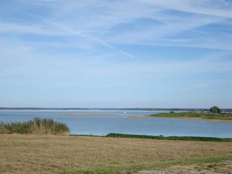 Plage de la Presqu'ile de Champaubert Plage de la Presqu'ile de Champaubert