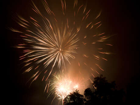 Feu d'artifice du Lac du Der Feu d'artifice du Lac du Der