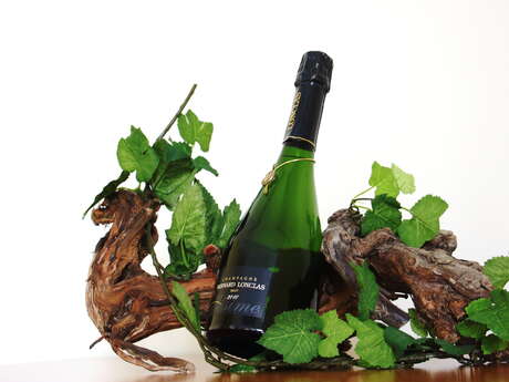 Champagne Bernard LONCLAS Champagne Bernard LONCLAS