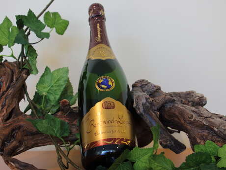 Champagne Bertrand-Lapie Champagne Bertrand-Lapie