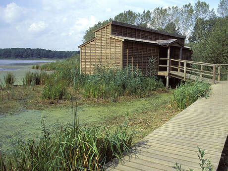 Observatoire ornithologique de l'Etang du Grand Coulon - Sud Observatoire ornithologique de l'Etang du Grand Coulon - Sud
