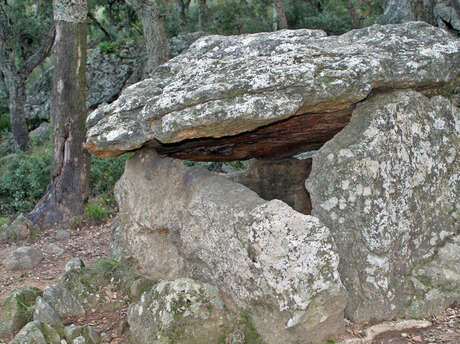BALADE FAMILIALE VERS LE DOLMEN LA COVA DE L’ALARB BALADE FAMILIALE VERS LE DOLMEN LA COVA DE L’ALARB