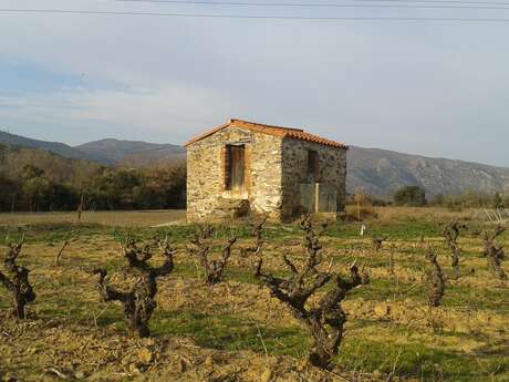 SCV LES VIGNERONS EN TERRES ROMANES SCV LES VIGNERONS EN TERRES ROMANES