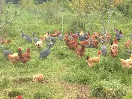 LA FERME DE JEANTINE LA FERME DE JEANTINE