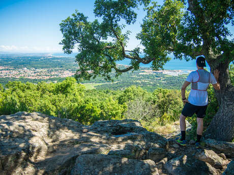 TRAIL PETITE BOUCLE VALMY > CHAPELLE ST LAURENT TRAIL PETITE BOUCLE VALMY > CHAPELLE ST LAURENT