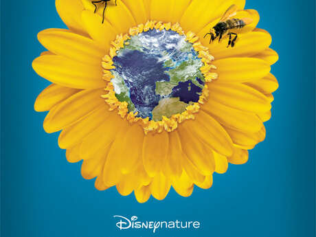 PROJECTION DU DOCUMENTAIRE "POLLEN" DE DISNEY NATURE PROJECTION DU DOCUMENTAIRE "POLLEN" DE DISNEY NATURE