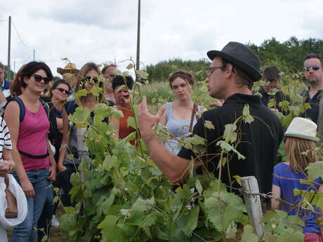 PIQUE NIQUE À LA CAVE AU DOMAINE DE CÉZIN (VIGNERONS INDÉPENDANTS) PIQUE NIQUE À LA CAVE AU DOMAINE DE CÉZIN (VIGNERONS INDÉPENDANTS)
