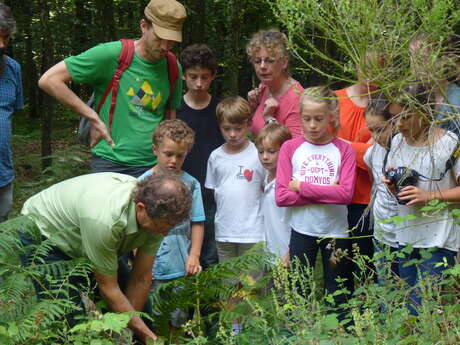 BALADE NATURALISTE "LES ARBRES REMARQUABLES" AVEC L'ONF BALADE NATURALISTE "LES ARBRES REMARQUABLES" AVEC L'ONF
