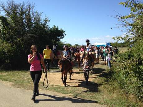 PONEY-CLUB AU FER A CHEVAL PONEY-CLUB AU FER A CHEVAL
