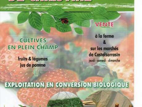 Les fraises de Christine Les fraises de Christine