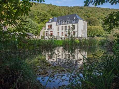 Domaine "Château Le Risdoux", Château au bord de la Meuse avec la Voie Verte, grand parc et terrain de tennis Domaine "Château Le Risdoux", Château au bord de la Meuse avec la Voie Verte, grand parc et terrain de tennis