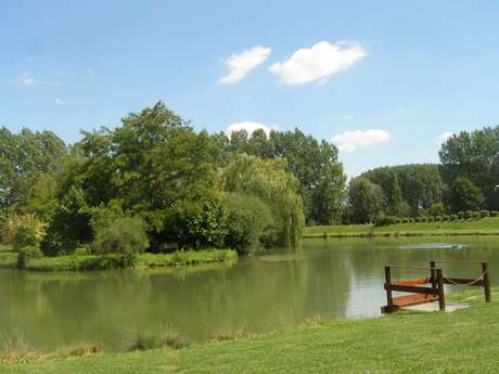 Camping municipal de Violaines Camping municipal de Violaines