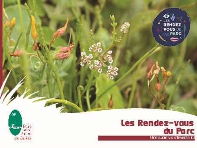 Les prairies fleuries, quelle diversité ! Les prairies fleuries, quelle diversité !