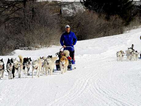 Husky Adventure - Dogsledding Husky Adventure - Dogsledding