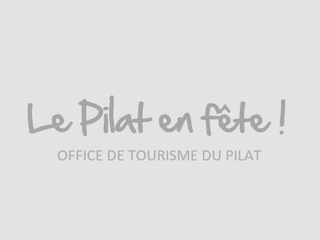 Saut à l'élastique Saut à l'élastique