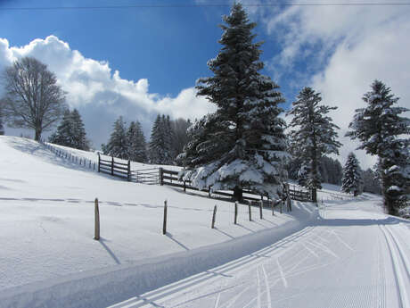 Ski de fond à la Croisette-piste rouge-Les alpages Ski de fond à la Croisette-piste rouge-Les alpages