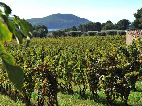 Domaine Maubernard Domaine Maubernard