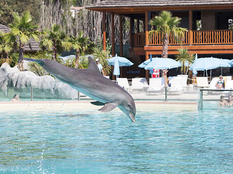 Marineland Marineland