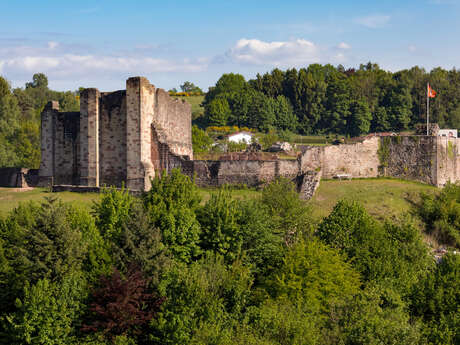 PARC ET VESTIGES DU CHATEAU PARC ET VESTIGES DU CHATEAU