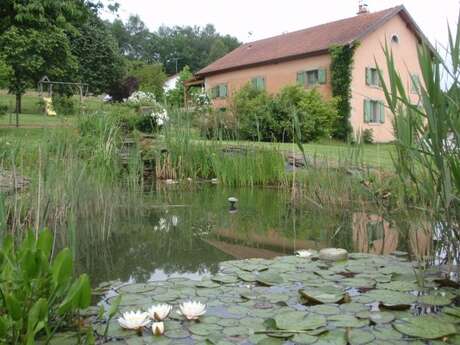 DOMAINE DE LA LOUVIERE DOMAINE DE LA LOUVIERE