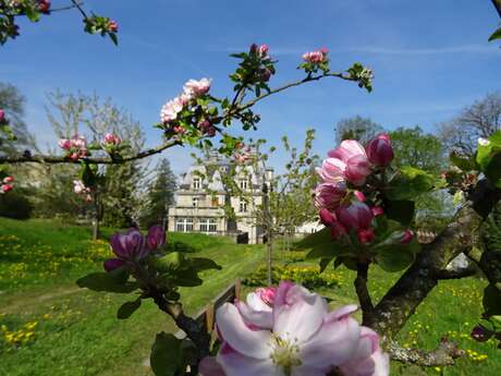 CHATEAU DES BRASSEURS CHATEAU DES BRASSEURS