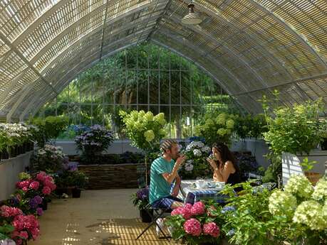 Pépinière Les Hortensias du Haut Bois Pépinière Les Hortensias du Haut Bois
