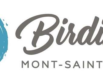 Sortie nature Birding Mont-Saint-Michel : « Birding sensations » Sortie nature Birding Mont-Saint-Michel : « Birding sensations »