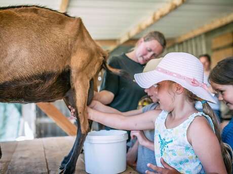 Visite libre de la ferme de la Chèvre Rit Visite libre de la ferme de la Chèvre Rit